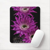 Maria Piazza naar het derde Muismat (Met muis)