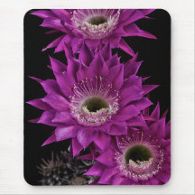 Maria Piazza naar het derde