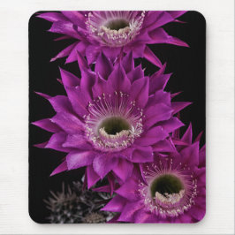 Maria Piazza naar het derde Muismat