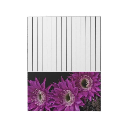 Maria Piazza naar het derde Notitieblok (Linkerzijde)