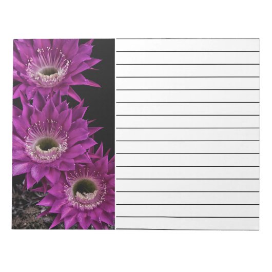 Maria Piazza naar het derde Notitieblok (Voorkant)