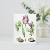 Maria Sibylla Merian Tulip, twee takken van Myrtl Briefkaart (Staand voorkant)