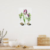 Maria Sibylla Merian Tulip, twee takken van Myrtle Poster (Keuken)