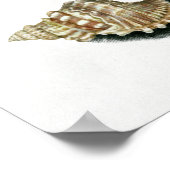 Maria Sibylla Merian Tulip, twee takken van Myrtle Poster (Hoek)