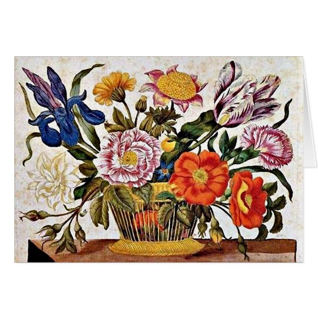 Maria Sibylla Merian - Van der Raupen Wunderbare (Voorkant Horizontaal)