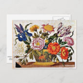 Maria Sibylla Merian - Van der Raupen Wunderbare Briefkaart (Voorkant / Achterkant)