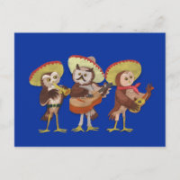 Mariachi Owl band