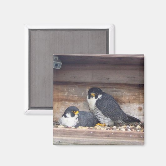 Mariah en Kaver Magnet (Voorkant / Achterkant)