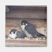 Mariah en Kaver Magnet (Voorkant)