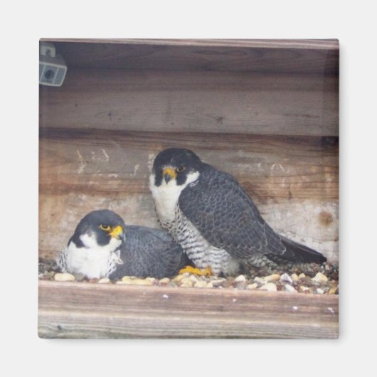 Mariah en Kaver Magnet (Voorkant)