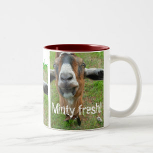 Mariah the Goat - Minty verse mok