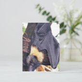 Mariana de Knuppel van het Fruit Briefkaart (Staand voorkant)