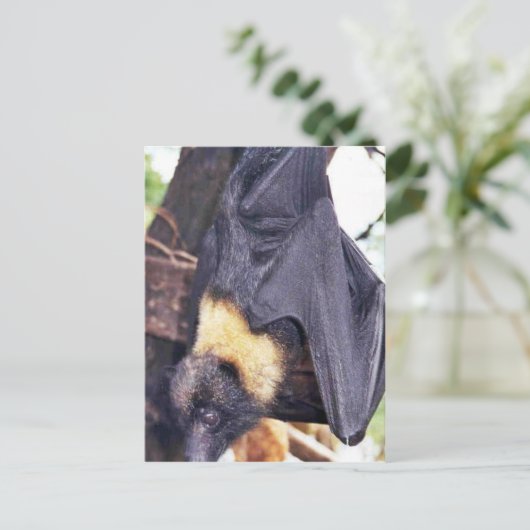 Mariana de Knuppel van het Fruit Briefkaart (Staand voorkant)