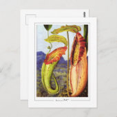 Marianne North #1 - Fine Art Briefkaart (Voorkant / Achterkant)