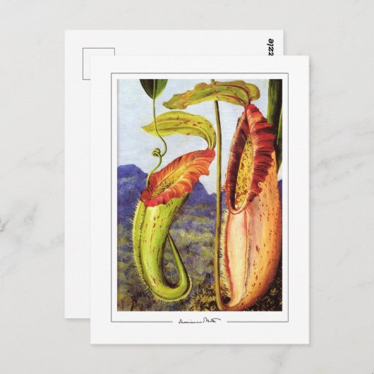 Marianne North #1 - Fine Art Briefkaart (Voorkant / Achterkant)