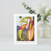 Marianne North #1 - Kunstkaart Briefkaart (Staand voorkant)
