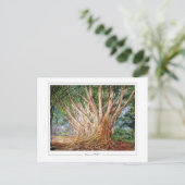 Marianne North #5 - Kunstpostkaart Briefkaart (Staand voorkant)