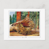 Marianne North #7 - Fine Art Briefkaart (Voorkant)