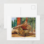 Marianne North #7 - Kunstkaart Briefkaart (Voorkant / Achterkant)