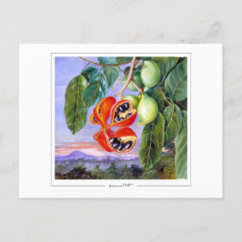 Marianne North #9 - Fine Art Briefkaart