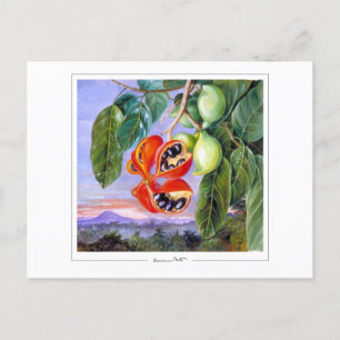 Marianne North #9 - Fine Art Briefkaart