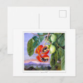 Marianne North #9 - Kunstkaart Briefkaart (Voorkant / Achterkant)