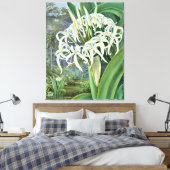 Marianne North - A Bornean Crinum Canvas Afdruk (Insitu (Slaapkamer))