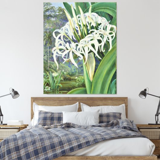 Marianne North - A Bornean Crinum Canvas Afdruk (Insitu (Slaapkamer))