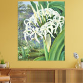 Marianne North - A Bornean Crinum Canvas Afdruk (Insitu (Woonkamer))