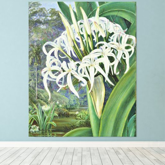Marianne North - A Bornean Crinum Canvas Afdruk (Insitu (Houten vloer))