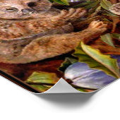 Marianne North - Australische Beren en peren Poster (Hoek)