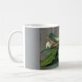 Marianne North - Custard Apple Art Koffiemok (Links)