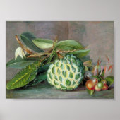 Marianne North - Custard Apple Art Poster (Voorkant)