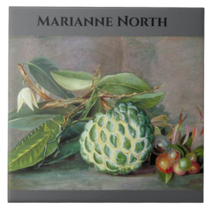 Marianne North Custard Apple Painting Tegeltje