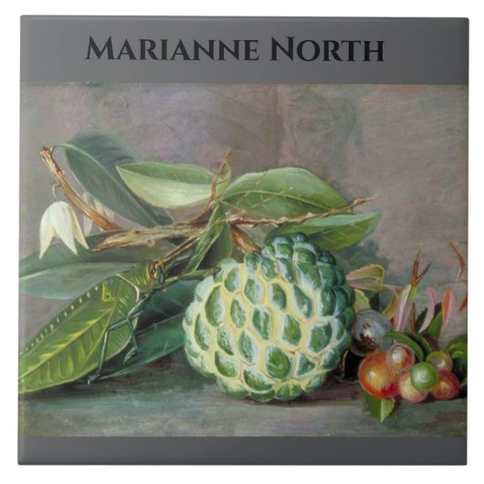 Marianne North Custard Apple Painting Tegeltje (Voorkant)
