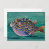 Marianne North - Exotic Fish Briefkaart (Voorkant / Achterkant)