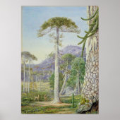 Marianne North - Exotic Landscape II Poster (Voorkant)
