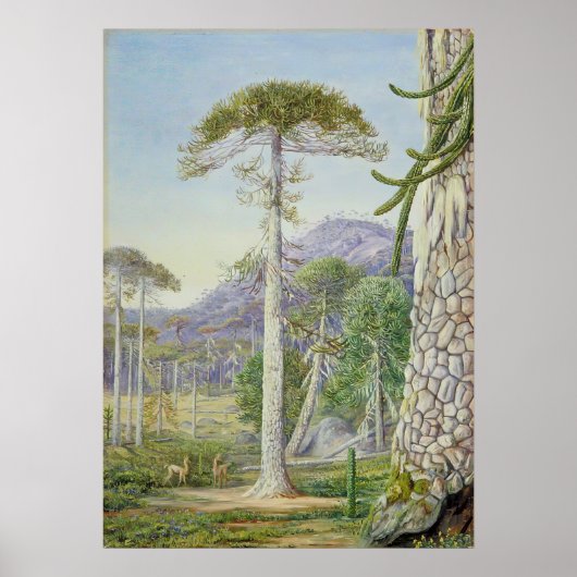 Marianne North - Exotic Landscape II Poster (Voorkant)