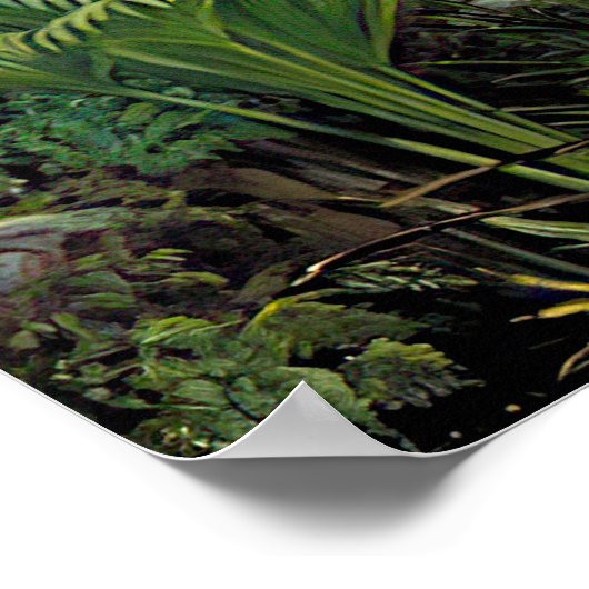 Marianne North - Exotic Landscape III Poster (Hoek)