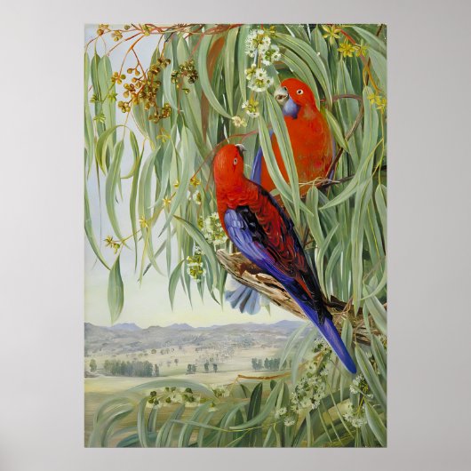 Marianne North - Exotic Landscape IV Poster (Voorkant)