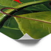 Marianne North - Exotic Landscape Poster (Hoek)