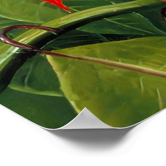 Marianne North - Exotic Landscape Poster (Hoek)