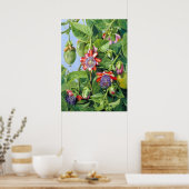 Marianne North Fruit of the Passion Flower Poster (Keuken)
