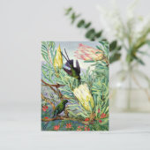 Marianne North - Honeyflower en Honeysuckers Briefkaart (Staand voorkant)