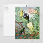 Marianne North - Honeyflower en Honeysuckers Briefkaart (Voorkant / Achterkant)