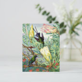 Marianne North - Honeyflower en Honeysuckers Kaart (Staand voorkant)