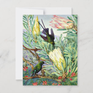 Marianne North - Honeyflower en Honeysuckers Kaart