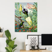 Marianne North - Honeyflower en Honeysuckers Poster (Thuiskantoor)