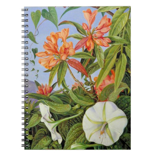 Marianne North - Javan Rhododendrum Notitieboek (Voorkant)
