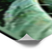 Marianne North - Olearia argophylla Poster (Hoek)